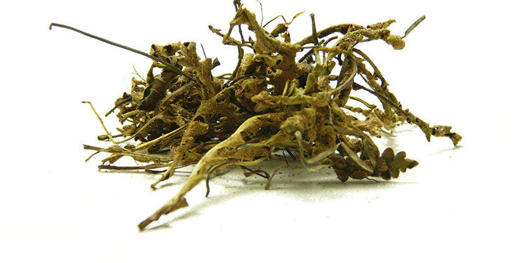 Scorpidi
(cena za kilo)