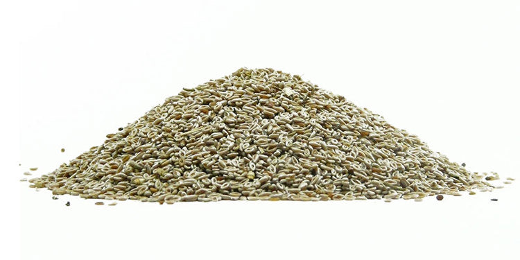 Blcha
(cena za kilo)