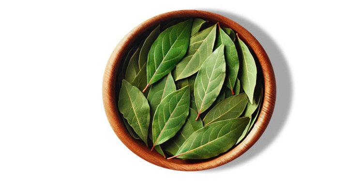 Daphne
(cena za kilo)