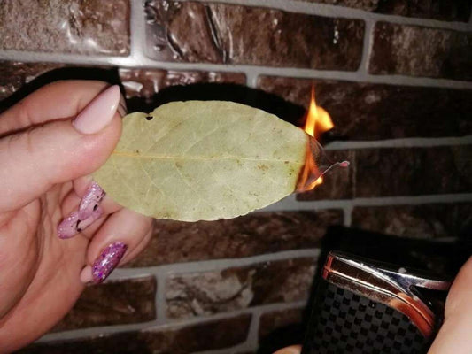 Bobkový List: Prírodná Náhrada Osviežovačov Vzduchu v Domácnosti