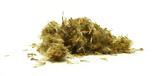 Arnica Montana (mexická arnika) 
  (cena za kilo)