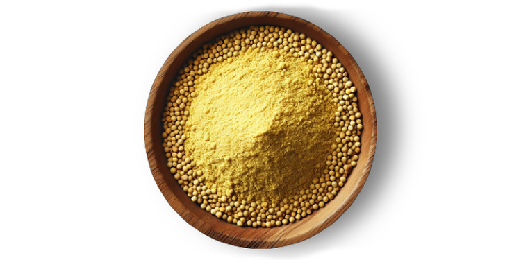 Horčičný prášok 
  (cena za kilo)