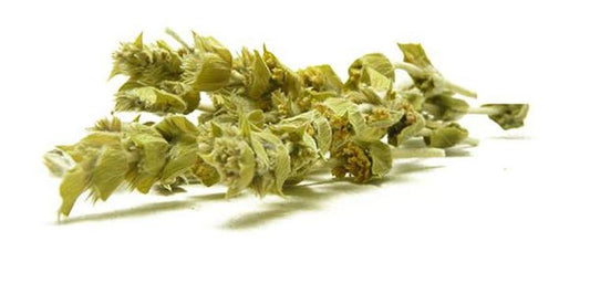 Mount Olympus Tea Sideritis Scardica BIO 2025 
  (cena za kilo)