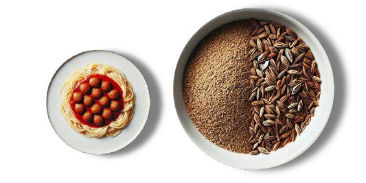 Kmín 
  (cena za kilo)