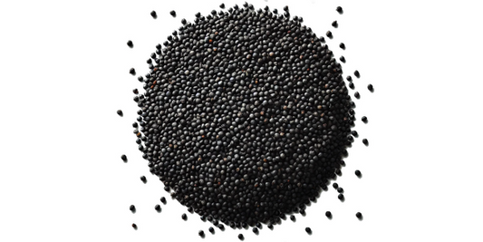 Čierna horčica 
  (cena za kilo)